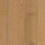 H2725      Дуб Нортленд медовый
